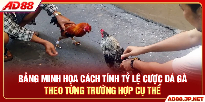 Bảng minh họa cách tính tỷ lệ cược đá gà theo từng trường hợp cụ thể