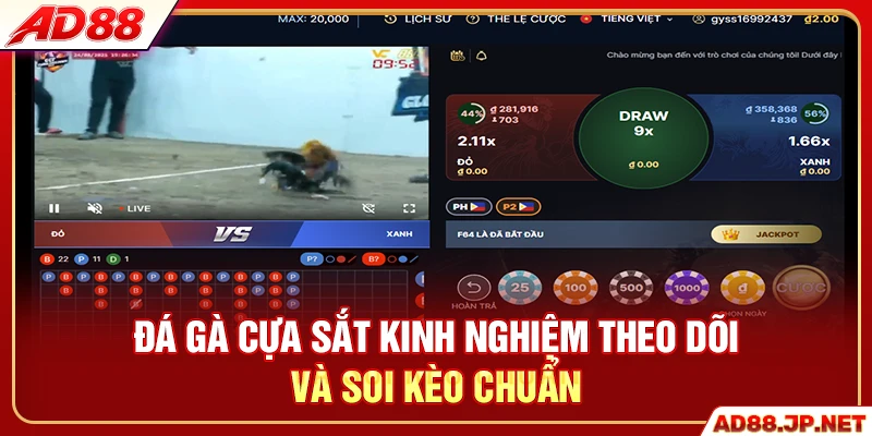 Đá gà cựa sắt kinh nghiệm theo dõi và soi kèo chuẩn