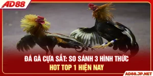 Đá Gà Cựa Sắt - So Sánh 3 Hình Thức Hot Top 1 Hiện Nay