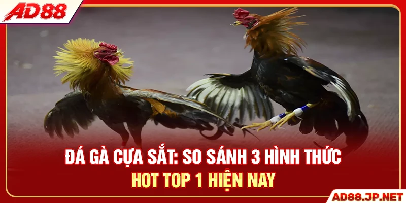 Đá Gà Cựa Sắt - So Sánh 3 Hình Thức Hot Top 1 Hiện Nay