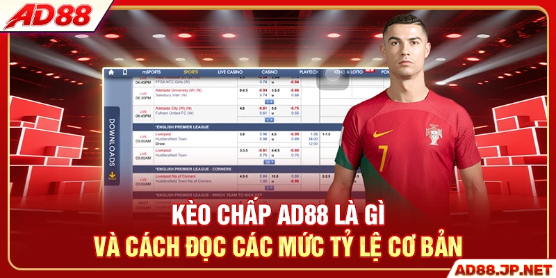 Kèo chấp AD88 là gì và cách đọc các mức tỷ lệ cơ bản