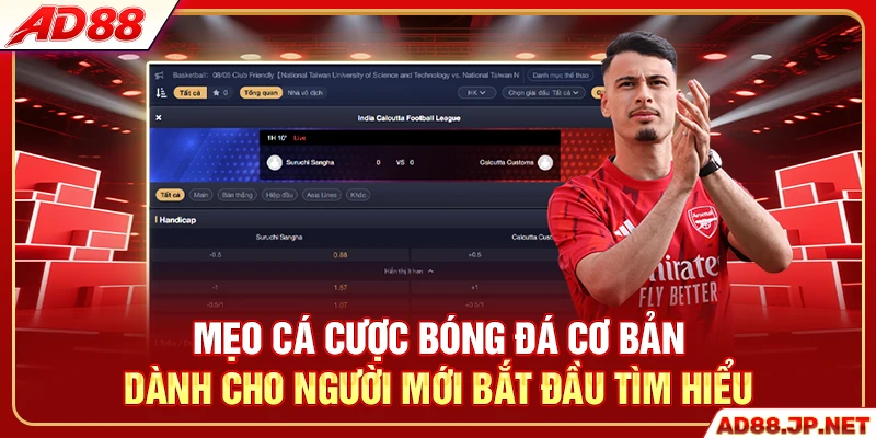 Mẹo cá cược bóng đá cơ bản dành cho người mới bắt đầu tìm hiểu