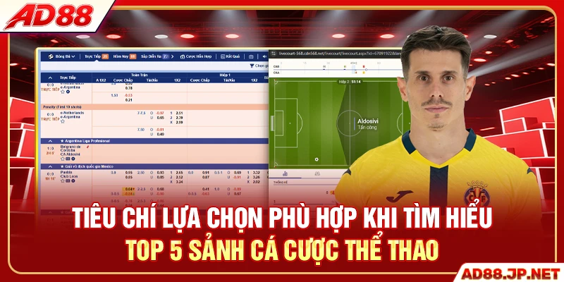 Tiêu chí lựa chọn phù hợp khi tìm hiểu top 5 sảnh cá cược thể thao