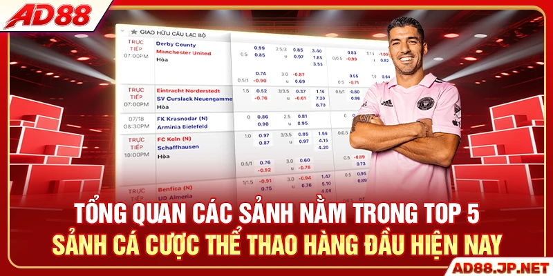 Tổng quan các sảnh nằm trong top 5 sảnh cá cược thể thao hàng đầu hiện nay