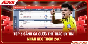 Top 5 Sảnh Cá Cược Thể Thao Uy Tín - Nhận Kèo Thơm 24/7
