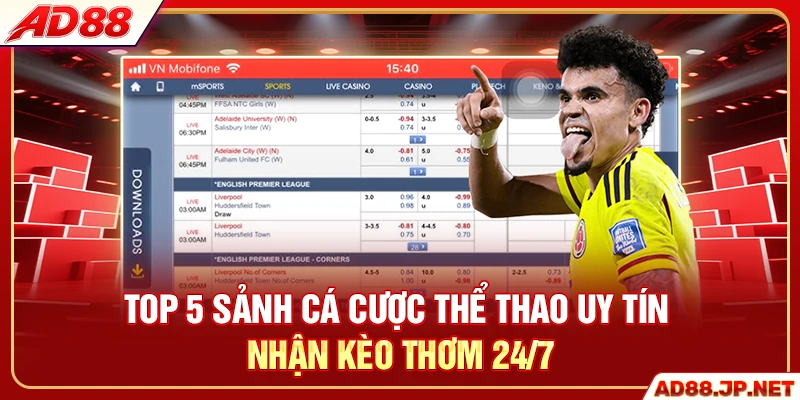 Top 5 Sảnh Cá Cược Thể Thao Uy Tín - Nhận Kèo Thơm 24/7