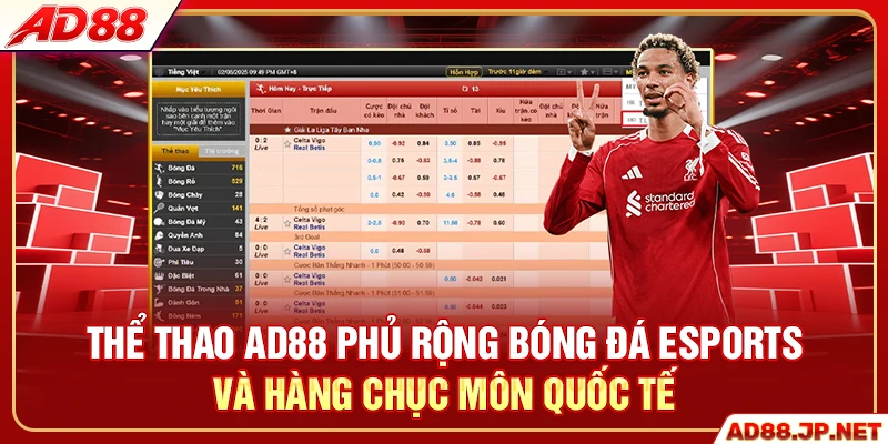 Thể thao AD88 phủ rộng bóng đá esports và hàng chục môn quốc tế