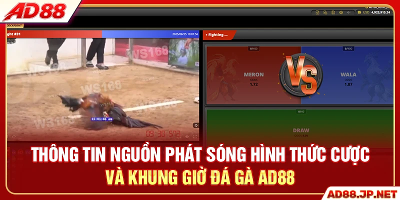 Thông tin nguồn phát sóng hình thức cược và khung giờ đá gà AD88